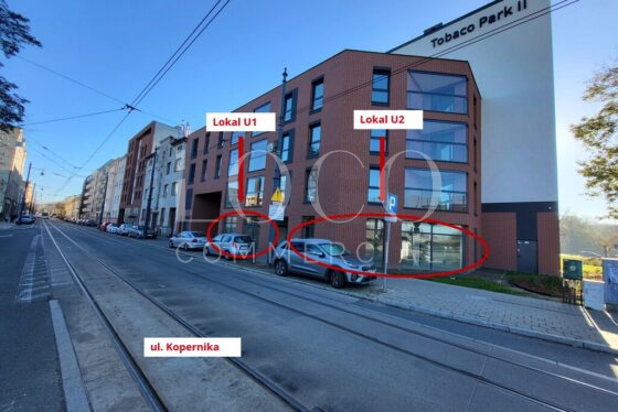 Lokal, 88m2, Łódź – 703/6700/OLS