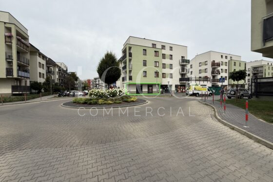 Lokal, 42.12m2, Kraków – 910/6700/OLW