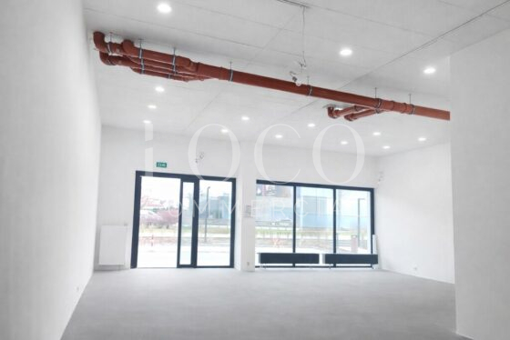 Lokal, 81m2, Warszawa – 952/6700/OLW