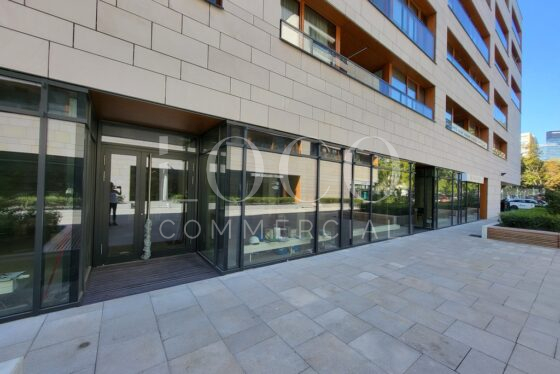 Lokal, 100m2, Poznań – 767/6700/OLS