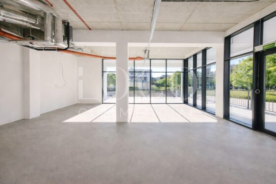 Lokal, 65.53m2, Łódź – 953/6700/OLW